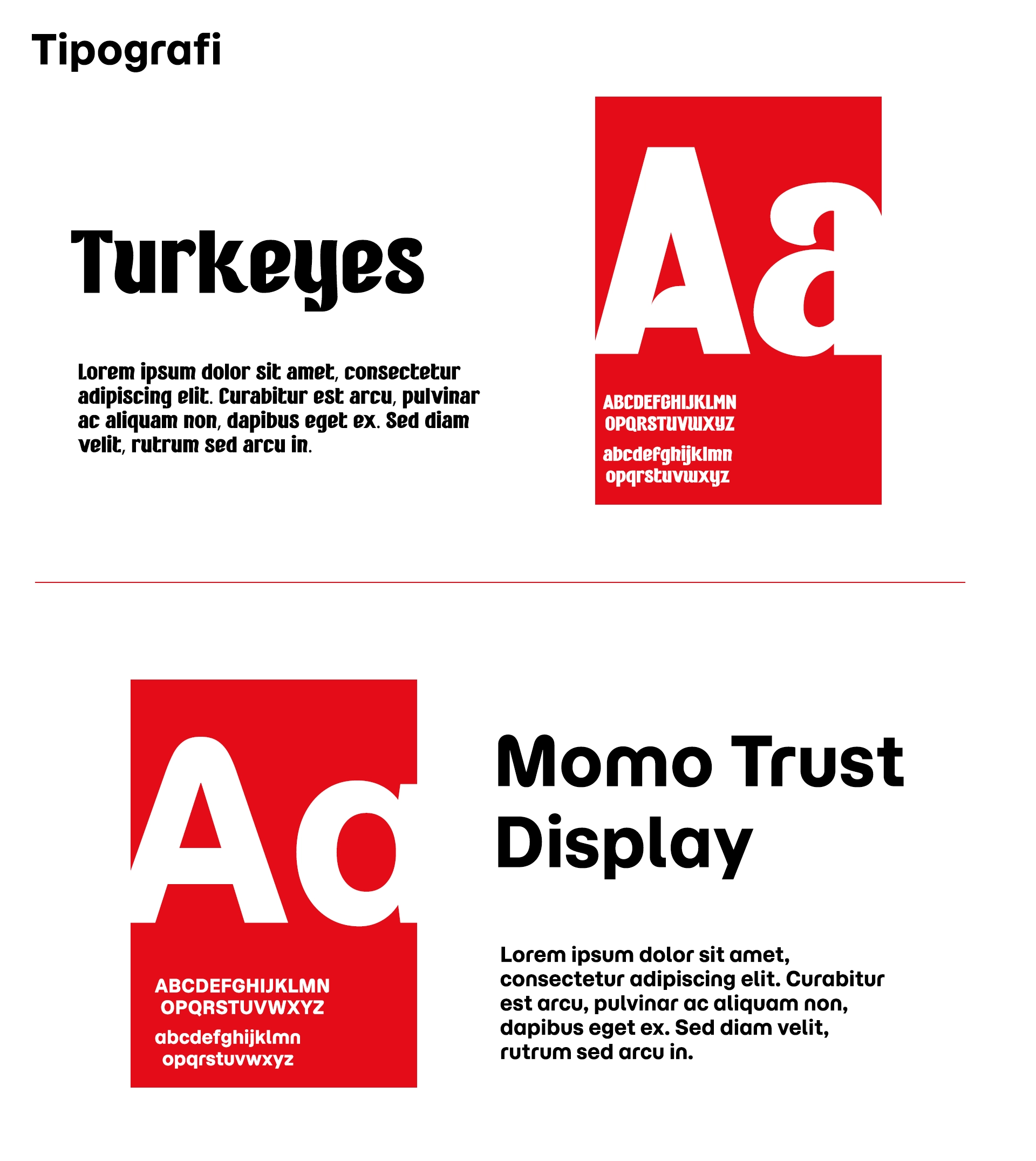 Han Çorba Identity Concept III